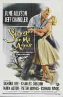 A Stranger in My Arms  - Poster / Imagen Principal
