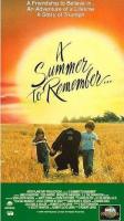 Un verano para recordar (TV) - Poster / Imagen Principal