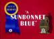 A Sunbonnet Blue (C)