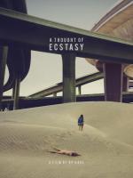 A Thought of Ecstasy  - Poster / Main Image
