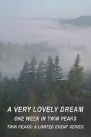 Un sueño realmente maravilloso: Una semana en Twin Peaks  - Poster / Imagen Principal
