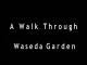 A Walk Through Waseda Garden (C)