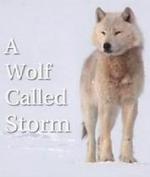 A Wolf Called Storm (The Natural World) (TV) 