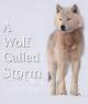 A Wolf Called Storm (The Natural World) (TV) 