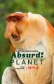 Absurd Planet (TV Series)