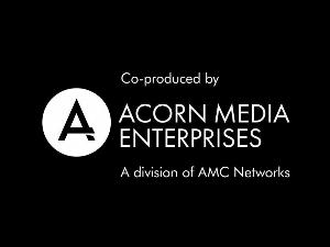 Acorn Media Enterprises
