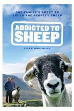 Addicted to Sheep 