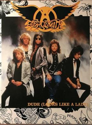 Aerosmith: Dude (Looks Like a Lady) (Vídeo musical) (1987) - Filmaffinity
