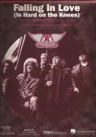 Aerosmith: Falling in Love (Is Hard on the Knees) (Music Video) - Posters
