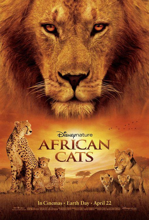 Críticas de Grandes felinos africanos: El reino del coraje (2011) -  Filmaffinity