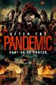 After the Pandemic 