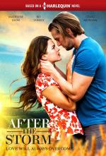 After the Storm (TV)