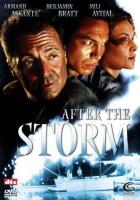 Tras la tormenta (TV) - Poster / Imagen Principal