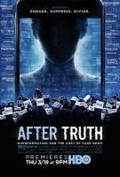 After Truth: Disinformation and the Cost of Fake News  - Poster / Main Image