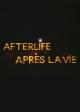 Afterlife (S)
