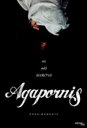 Agapornis (C)