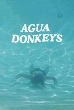 Agua Donkeys (C)
