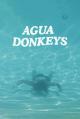 Agua Donkeys (C)
