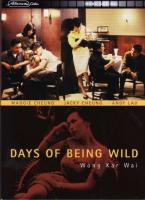 Days of Being Wild  - Dvd