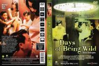 Days of Being Wild  - Dvd