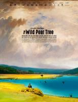 The Wild Pear Tree  - Posters