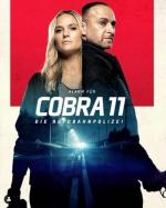 Alerta Cobra (Serie de TV)