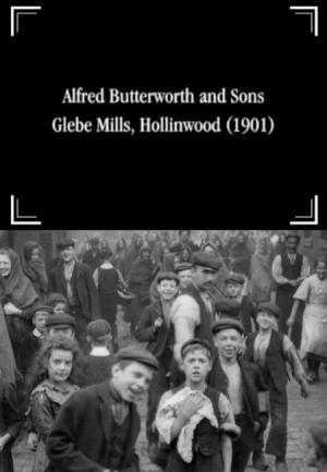 Alfred Butterworth and Sons, Glebe Mills, Hollinwood (C)
