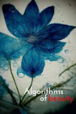 Algorithms of Beauty (C)