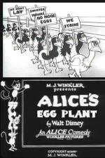 Alice's Egg Plant (S)