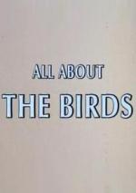 All About 'The Birds' 