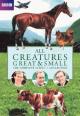 All Creatures Great and Small (TV Series) (Serie de TV)