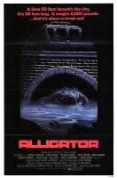 Alligator  - Poster / Main Image