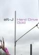 Alt-J: Hard Drive Gold (Music Video)