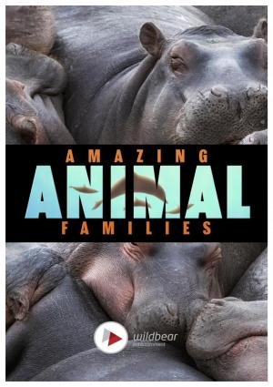 Amazing Animal Families (TV Series)