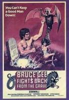 Bruce Lee lucha desde la tumba  - Poster / Imagen Principal