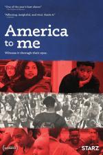 America to Me (TV Series)