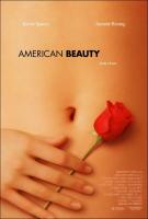 American Beauty  - Poster / Imagen Principal