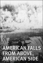 American Falls from Above, American Side (C)