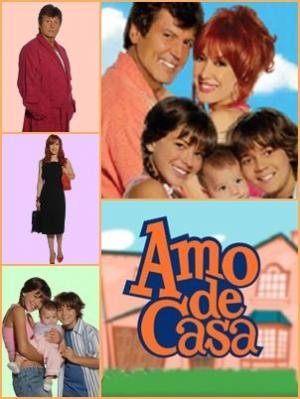 Amo de casa (Serie de TV)