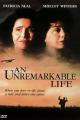 An Unremarkable Life 