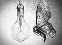 Anatomía de una mariposa (S) - Poster / Main Image