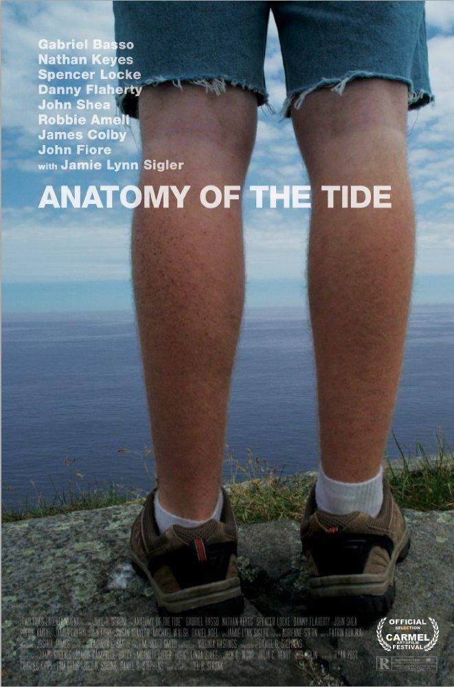 Anatomy of the Tide 