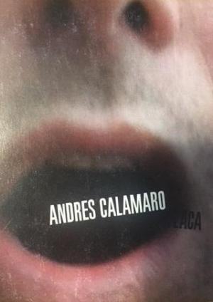 Andrés Calamaro: Flaca (Vídeo musical)