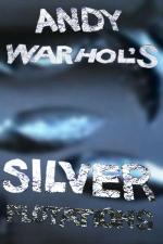 Andy Warhol’s Silver Flotations (C)