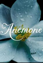 Anemone 