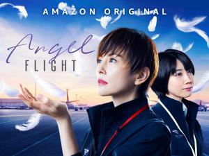 Angel Flight (TV Series)