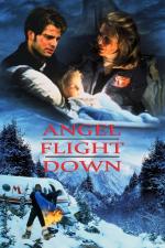 Angel Flight Down (TV)
