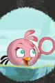 Angry Birds: Meet the Pink Bird (C)