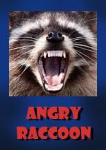 Angry Raccoon (S)