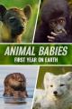 Animal Babies: First Year on Earth (TV Miniseries)